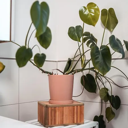 Flexhome Gemuetliche * Lippstadt