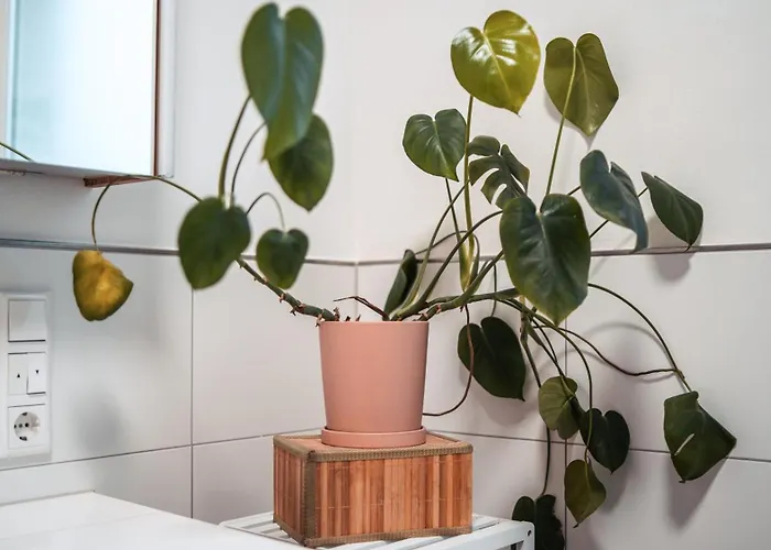 Flexhome Gemuetliche * 利普施塔特